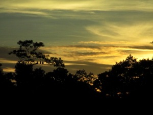 Sunset in Kalimantan